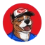 Gas Station Boner Pill Inu Icon