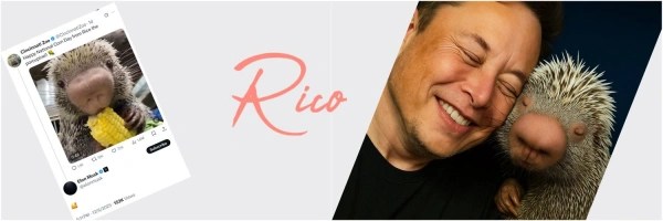 Base_Rico Token Header