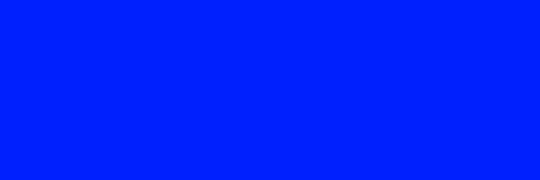 BLUE Token Header