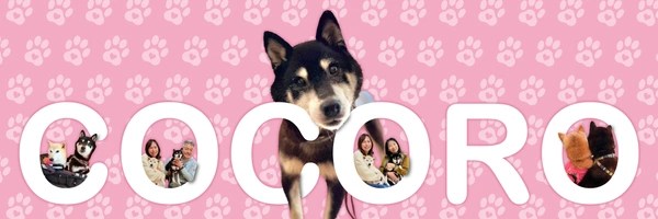 Cocoro Token Header