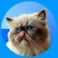 Mr. Miggles Icon