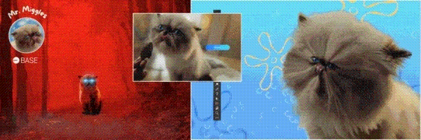 Mr. Miggles Token Header
