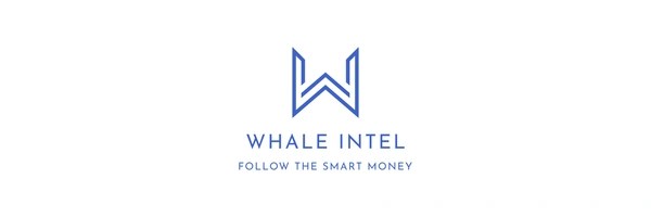 WhaleIntel by Virtuals Token Header