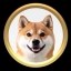 AKITA-BSC Icon