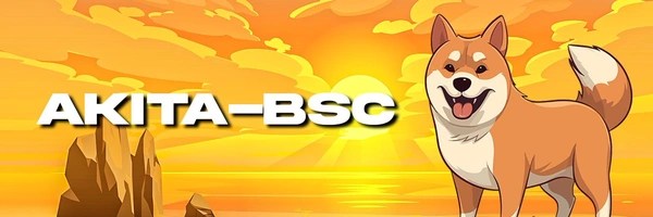 AKITA-BSC Token Header