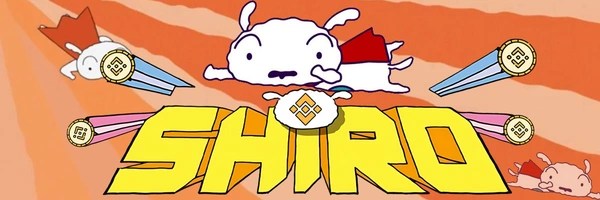 Shiro Token Header
