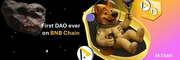 BNB48 Club Token Token Header