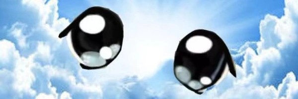 Milady Cult Coin Token Header