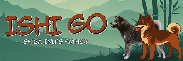 Ishi Go Token Header