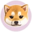 KiboShib Icon