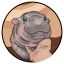 MOO DENG Icon