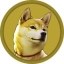 Colon Icon