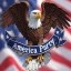 AMERICA PARTY Icon