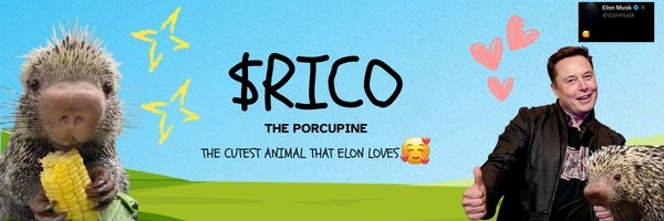 RICO Token Header
