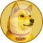 Colon Icon