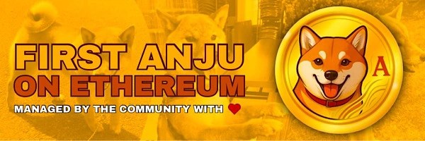 Anju Token Header