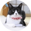 Cocoro's Brother Icon