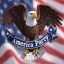 America Party Icon
