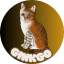 Ginkgo Icon