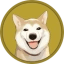 Neiro Icon
