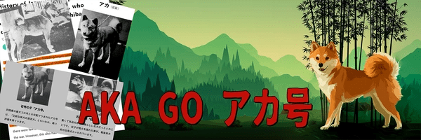 Aka Go Token Header