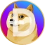 Dogecoin Icon