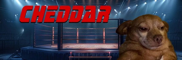 cheddar Token Header