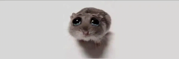 SAD HAMSTER Token Header