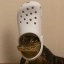 Crocs Icon
