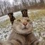 SELFIE CAT Icon