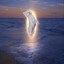 Euphoria Icon