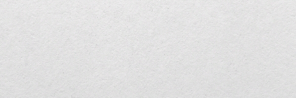 Bobby The Cat Token Header