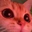 heart eyed cat Icon