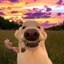 DogWifFlower Icon