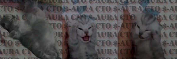 negative aura Token Header
