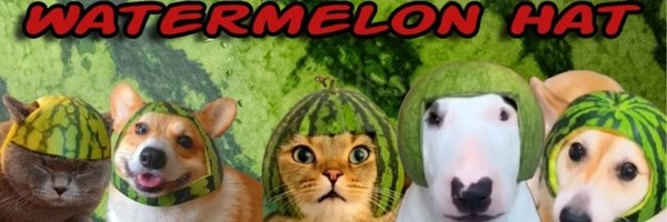 Watermelon Hat Cult Token Header