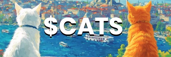 Catstanbul Token Header