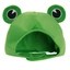 Frog Hat Cult Icon
