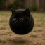 ANIBALLS Icon