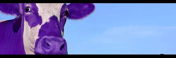 Purple Cow Theory Token Header