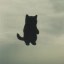 the void Icon