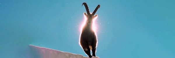 Goat Wif Aura Token Header