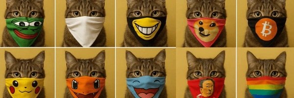Catwifbandana Token Header