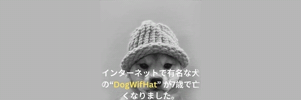 RIP DOGWIFHAT Token Header