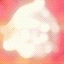 SHARKKITTY Icon