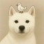 DogWifPeace Icon