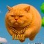 FLOATCAT Icon