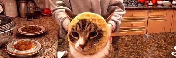 waffle Token Header