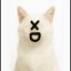cats as emojis Icon