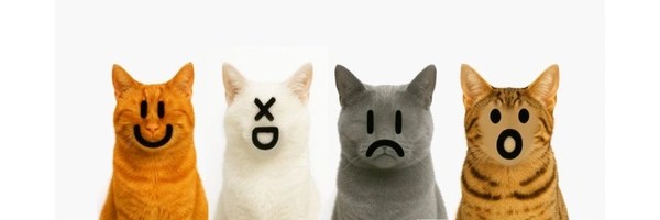 cats as emojis Token Header